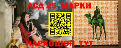 мяу мяу мука Кулебаки