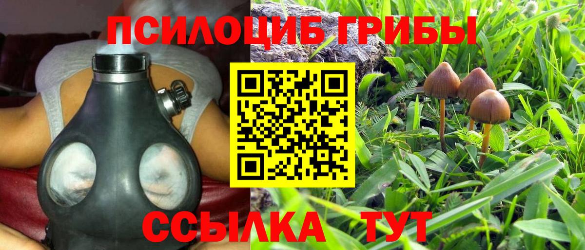 Псилоцибиновые грибы Cubensis Красногорск